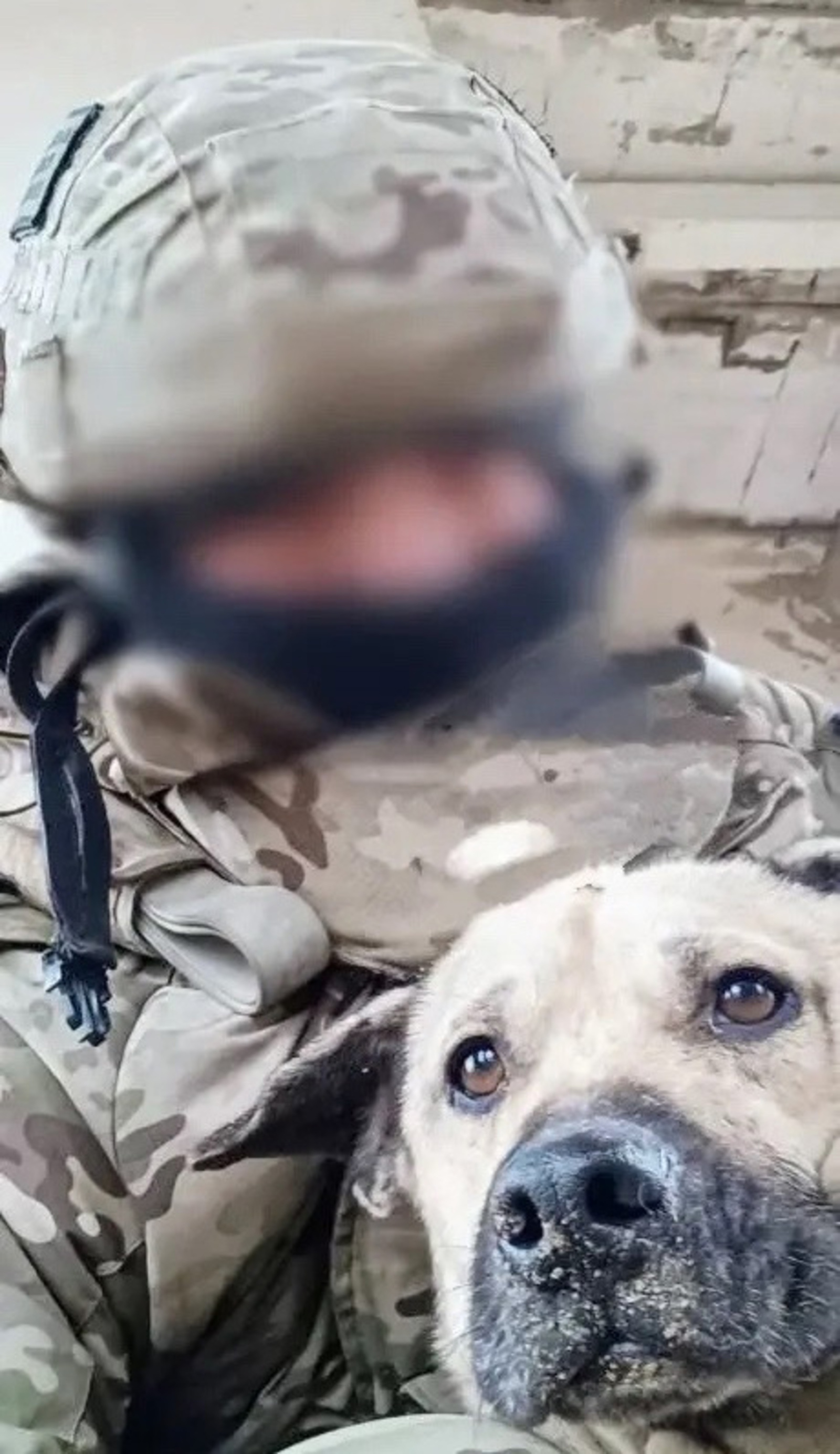 Ил сагында «Бабай» позывнойлы сугышчы