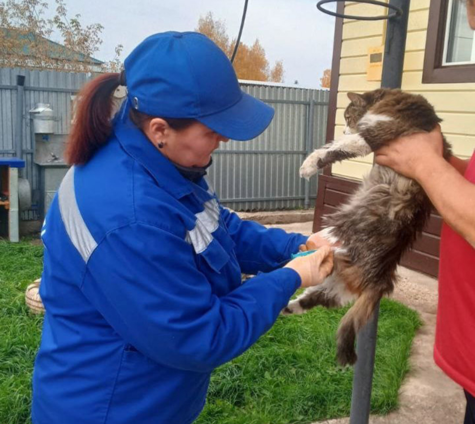 Бушлай вакцина ясатырга мөмкин