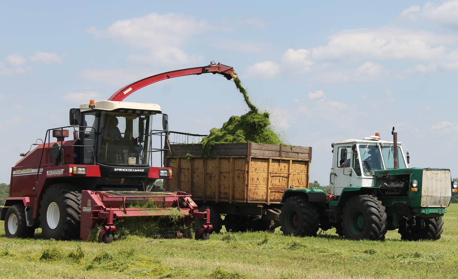 Чәчү төгәлләнде, мал азыгы әзерләү дәвам итә